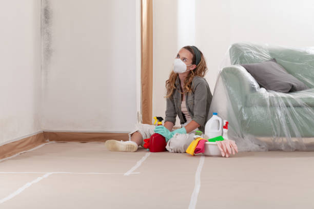 Reliable Basement Mold Remediation contractor in Franklin, TX by 24 Hour Mold Removal